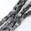 Natural Larvikite Beads Strands G-G002-A08-2