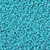 MIYUKI Delica Beads X-SEED-J020-DB0658-3