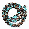 Assembled Natural Bronzite and Synthetic Turquoise Beads Strands G-S366-064-2