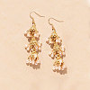 Bohemian Alloy & Iron Tassel Dangle Earrings WG25E48-03-1