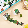 Autumn Leaf Paper Tape Stickers for Card Making DIY-TAC0032-23F-5