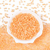 Glass Seed Beads SEED-N007-27E-2