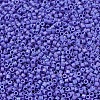MIYUKI Delica Beads X-SEED-J020-DB1597-3