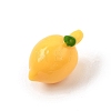 Opaque Resin Imitation Fruit Pendants RE-CBAE54B-02E-2