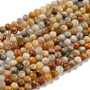 Natural Crazy Lace Agate Beads Strands G-K020-3mm-29-2