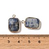 Natural Blue Spot Jasper Faceted Pendants G-Q169-06G-02-3