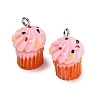 Opaque Resin Imitation Food Pendants RE-CBAF169-07A-1
