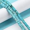 Natural Howlite Beads Strands X-G-E604-A02-B-4