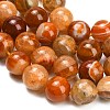 Natural Dragon Veins Agate Beads Strands GG-L001-L01-01F-3