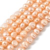 Natural Cultured Freshwater Pearl Beads Strands PEAR-P064-19J-01A-2