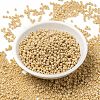 MIYUKI Round Rocailles Beads X-SEED-G008-RR0493-2