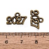 New Year's Day Tibetan Style Alloy Charms FIND-N014-01AB-3