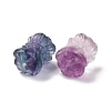 Natural Fluorite Beads G-P483-10-3