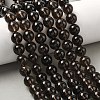 Natural Smoky Quartz Beads Strands G-C265-A01-10mm-02-1