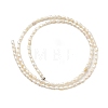 Natural Cultured Freshwater Pearl Beads Strands PEAR-I007-01J-02A-3