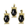 Natural Obsidian Pendant KK-F887-02G-17-1