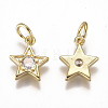 Brass Micro Pave Cubic Zirconia Charms ZIRC-F111-10G-08-2