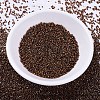 MIYUKI Delica Beads SEED-MY11-DB0461-2