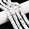 Natural Howlite Beads Strands G-T139-8x8-02A-1