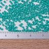 MIYUKI Delica Beads X-SEED-J020-DB0729-4