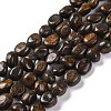 Natural Bronzite Beads Strands G-G146-A18-01-1