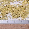MIYUKI Delica Beads SEED-JP0008-DB0042-1