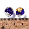 Handmade Lampwork Beads LAMP-H065-01J-4