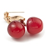 Alloy Enamel Brooch Pin X-JEWB-Q030-10G-01-3