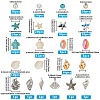 DIY Jewelry Making Kit DIY-PA0002-25-2