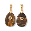 Natural Tiger Eye Pendants G-P628-02G-03-1