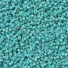MIYUKI Delica Beads SEED-MY11-DB0166-2