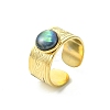Paua Shell Round 304 Stainless Steel Cuff Open Rings for Women RJEW-JR01070-4