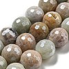 Natural Amazonite Beads Strands G-O164-02-12mm-2
