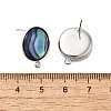 304 Stainless Steel Pave Natural Paua Shell Stud Earring Findings STAS-Z125-10P-3