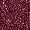 MIYUKI Delica Beads SEED-MY11-DB0654-3