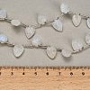 Natural Rainbow Moonstone Carved Beads Strands GG-CBA0C95-E10-4