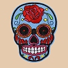 Skull Computerized Embroidery Cloth Sew on Patches PW-WG37707-05-1