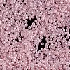 TOHO 11/0 Round Beads X-SEED-TR11-0145-2