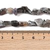 Natural Moonstone Beads Strands G-A284-A01-03-5