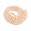 Transparent Crackle Glass Bead Strands GLAA-T025-8mm-02I-2