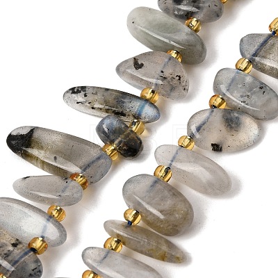 Natural Labradorite Beads Strands GG-CBADF20-A05-1