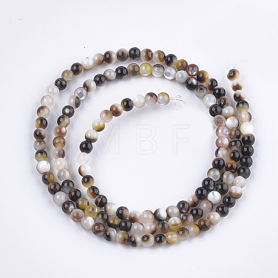 Black Lip Shell Beads Strands SHEL-S274-92A-1