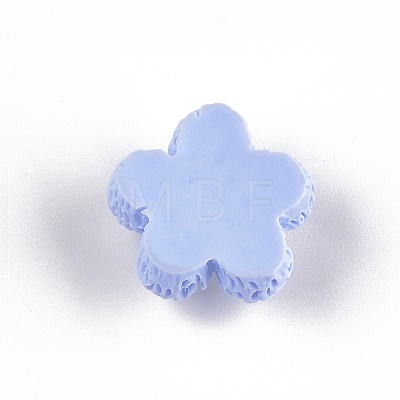 Resin Cabochons CRES-T010-47E-1