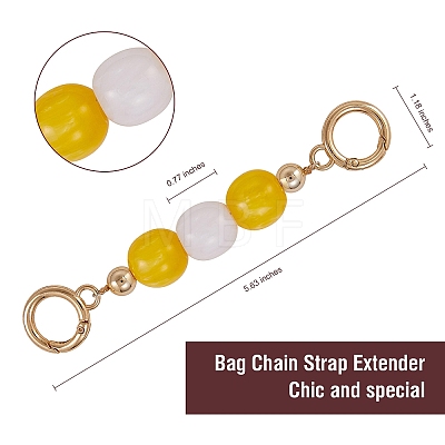 Bag Extension Chain FIND-SZ0002-43B-09-1