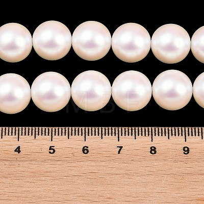 Electroplated Glass Pearl Graduated Beads Strands BSHE-C011-03A-1