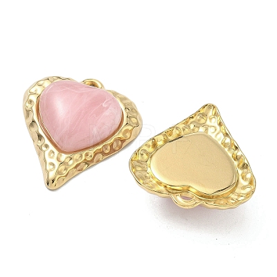304 Stainless Steel & Resin Pendants STAS-G371-18G-01-1