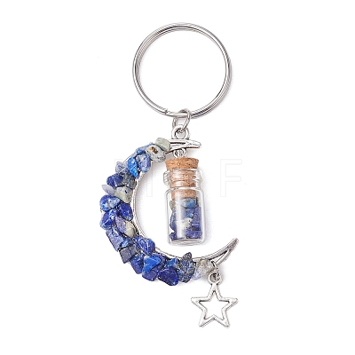 5Pcs 5 Styles Natural Lapis Lazuli & Red Jasper & Amazonite & Tiger Eye & White Moonstone Keychain KEYC-JKC00947-1