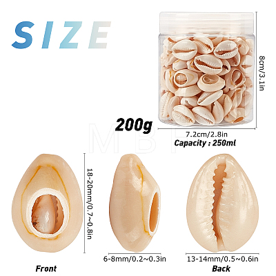 Natural Mixed Cowrie Shell Beads BSHE-SC0001-01-1