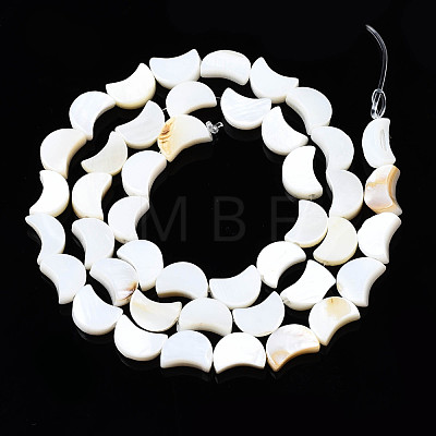 Natural Freshwater Shell Beads Strands X-SHEL-N026-151-1