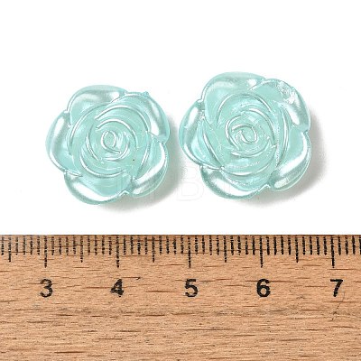 Acrylic Pearly Lustre Beads OACR-U006-02D-1